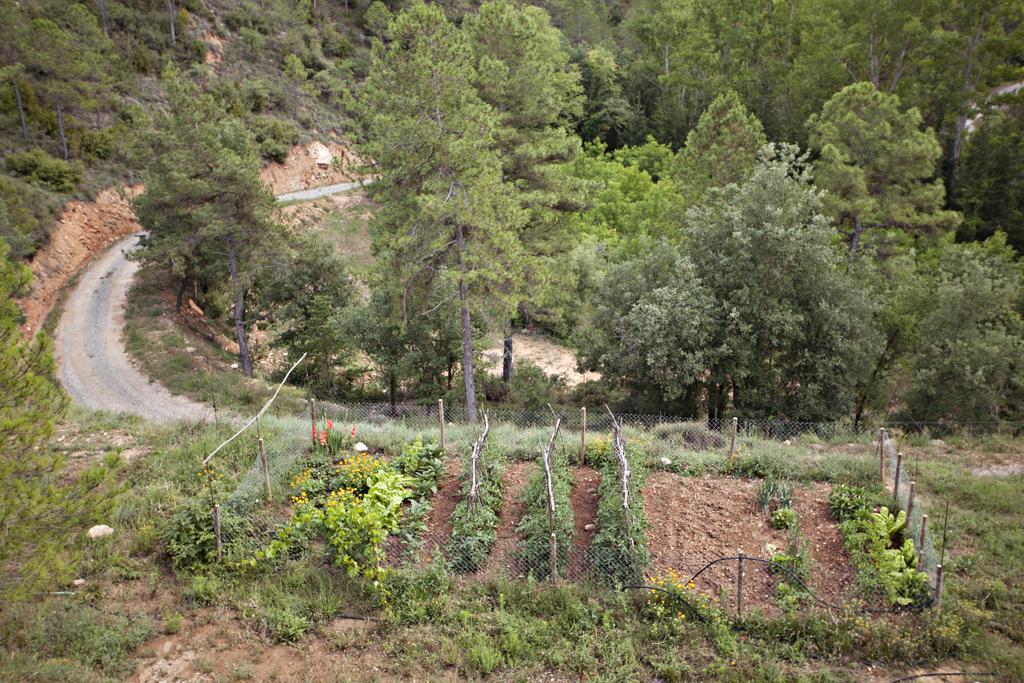 Masia Ca L'Anima Hotel La Baronia de Rialb Quarto foto