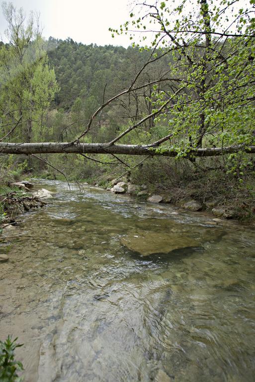 Masia Ca L'Anima Hotel La Baronia de Rialb Quarto foto