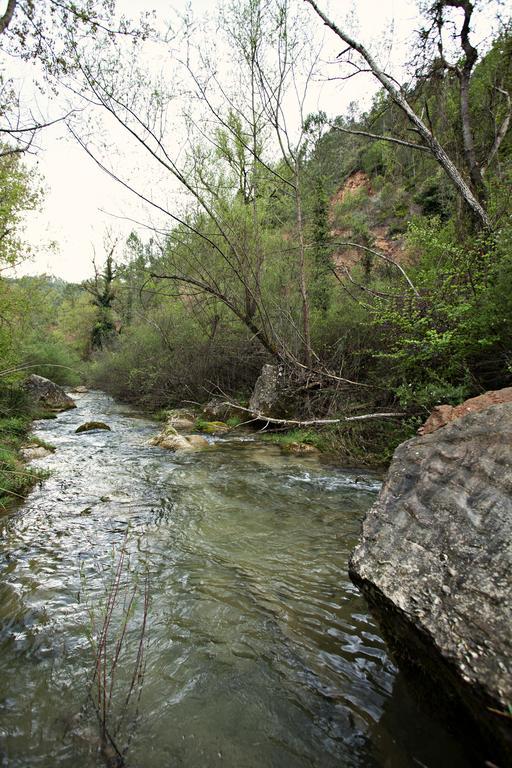 Masia Ca L'Anima Hotel La Baronia de Rialb Quarto foto
