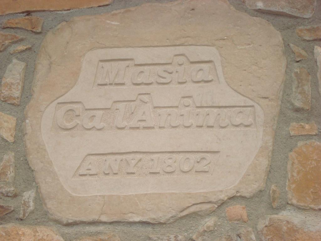 Masia Ca L'Anima Hotel La Baronia de Rialb Quarto foto
